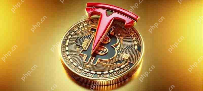 特斯拉(TSLA)在整个第二季度2025中均在其储备中持有11,509个比特币,而无需出售任何